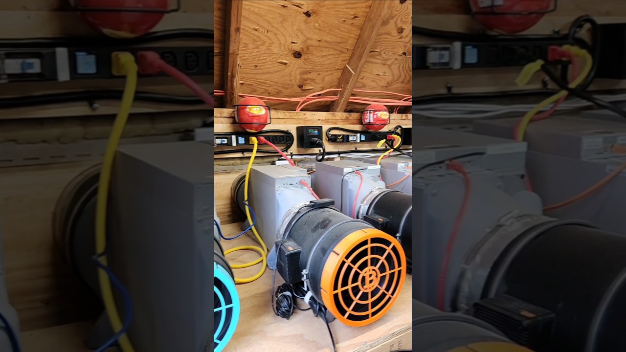 Home Bitcoin Mining is Not Set it and Forget it! #shorts #bitcoin #crypto