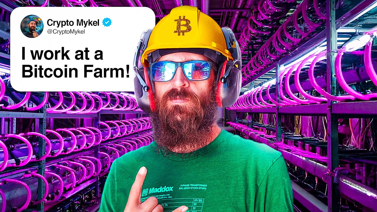 A DAY in the LIFE of a Bitcoin Mining Farm Operator