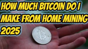 How Much Bitcoin I Make Mining at Home 2025
