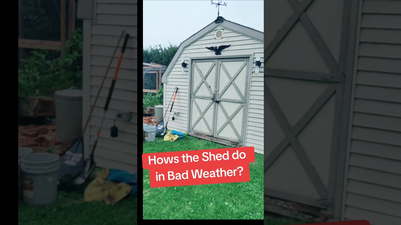 Hows the Shed do in Bad Weather? #shorts #shed #weather